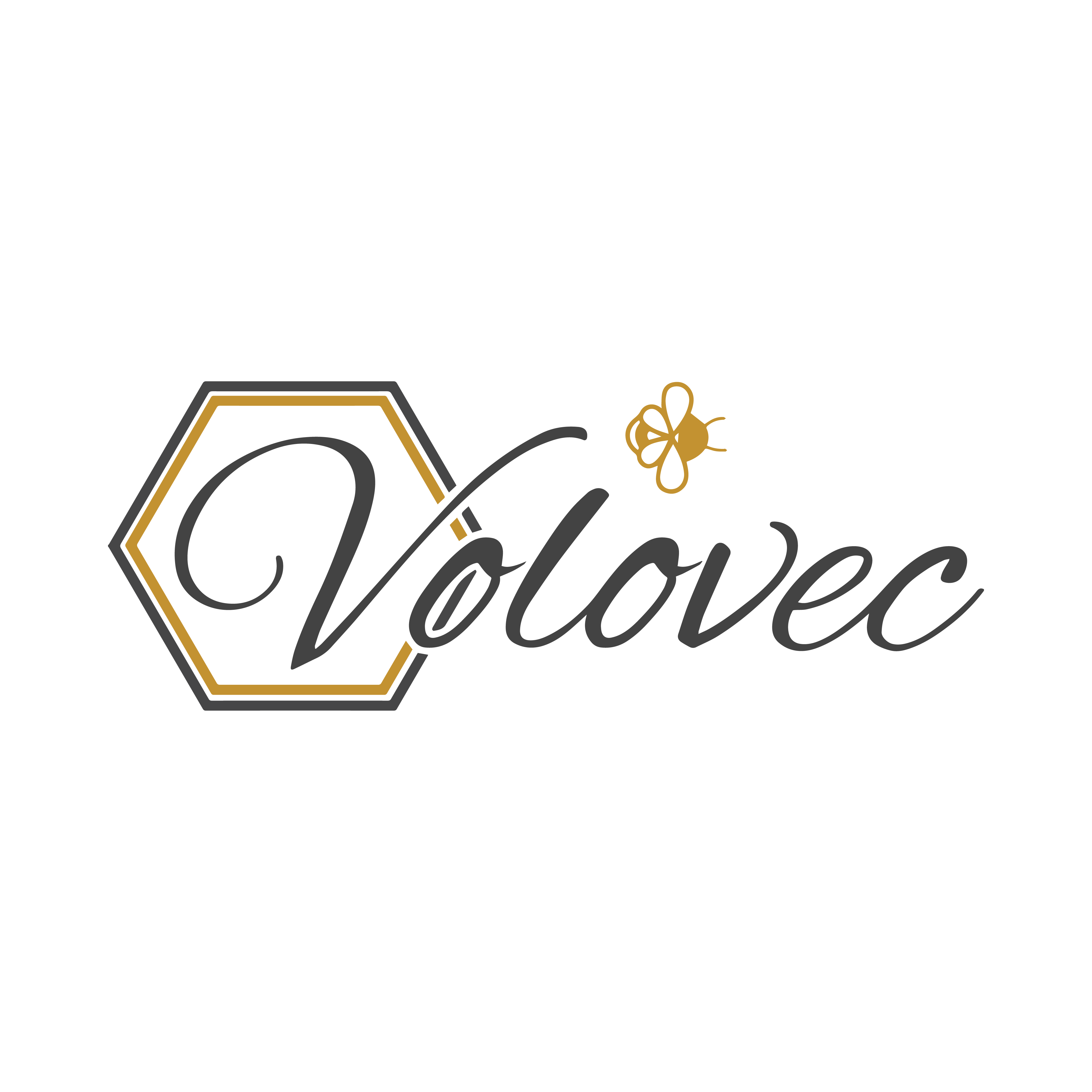 Oblikovanje logotipa Image